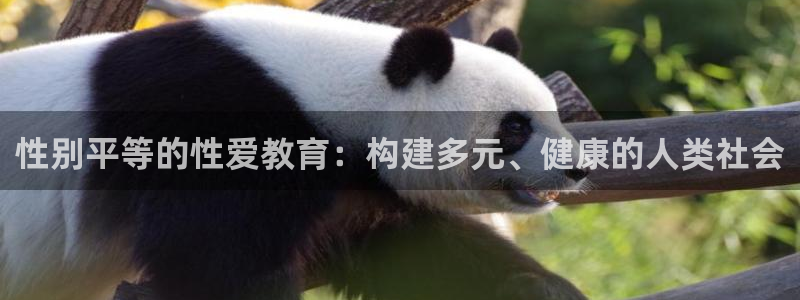 安信12平台最新消息