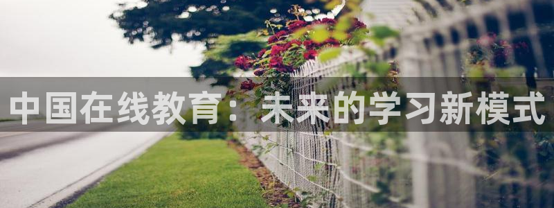 安信12位数资金号