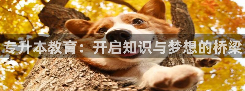 安立信12改装