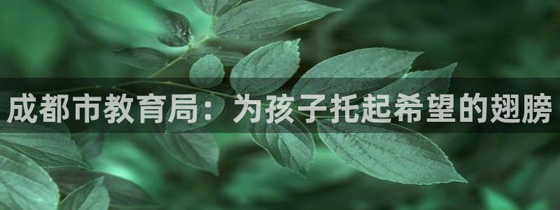 安信12彩票在线网址