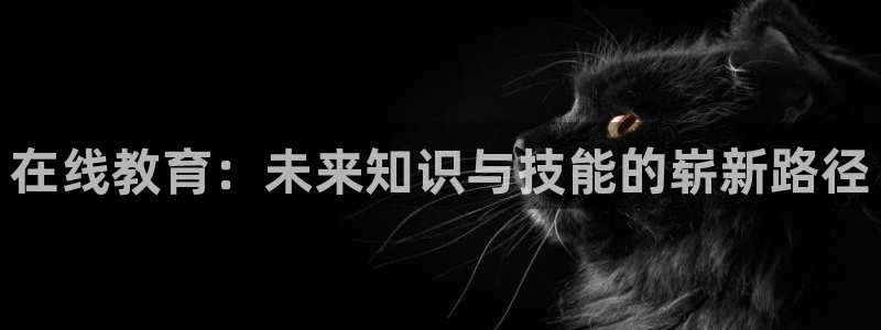 安信可f12