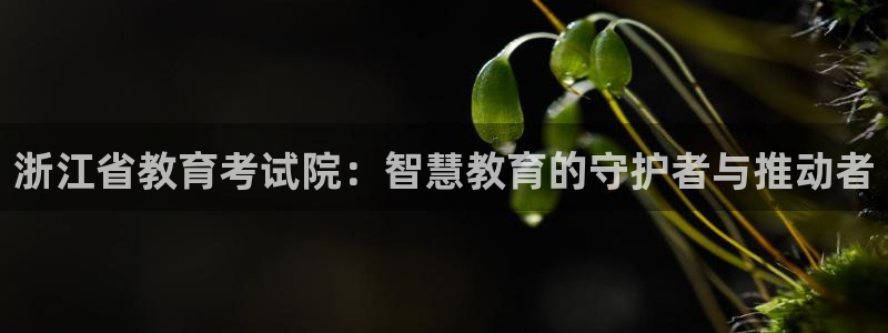 安信可f12