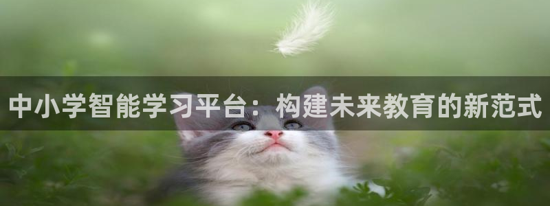 安信12彩票