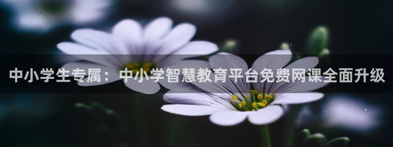 安信12是啥