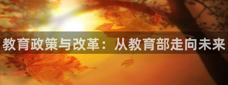 安立信T12测评