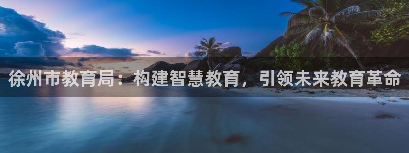 安信12主管
