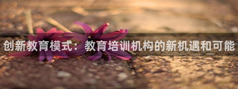 安信12官网