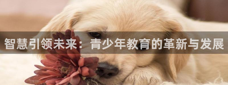 安信122853179Z空间