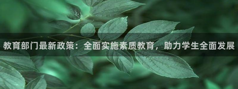 安信安赢12号