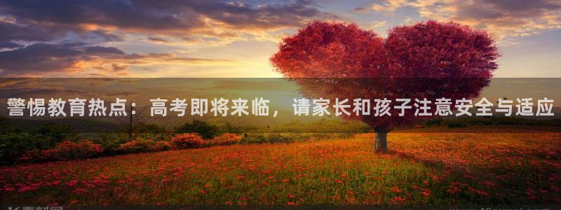 安信12平台可靠吗