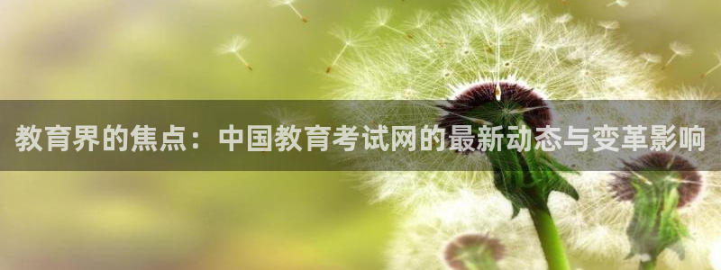 安信12正版下载