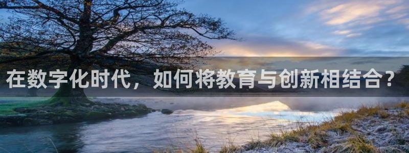 安信卓越12月