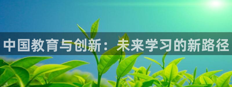 安信12主管