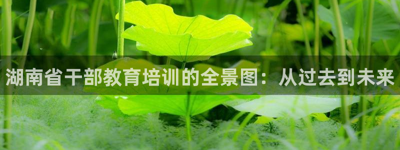 安信12平台可靠吗